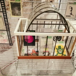 'Sanremo Patafisica' al Museo Civico: ieri un ottimo inizio per una mostra che prosegue fino al 7 aprile 'Sanremo Patafisica' al Museo Civico: ieri un ottimo inizio per una mostra che prosegue fino al 7 aprile