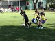 Calcio giovanile, Piccoli Amici. San Bartolomeo Calcio-Oneglia: riviviamo il match (FOTO e VIDEO)