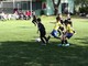 Calcio giovanile, Piccoli Amici. San Bartolomeo Calcio-Oneglia: riviviamo il match (FOTO e VIDEO) Calcio giovanile, Piccoli Amici. San Bartolomeo Calcio-Oneglia: riviviamo il match (FOTO e VIDEO)