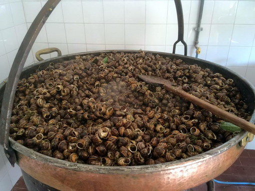 Molini di Triora: ecco tutte le attrazioni organizzate dalla Pro Loco per la 'Sagra della Lumaca' Molini di Triora: ecco tutte le attrazioni organizzate dalla Pro Loco per la 'Sagra della Lumaca'