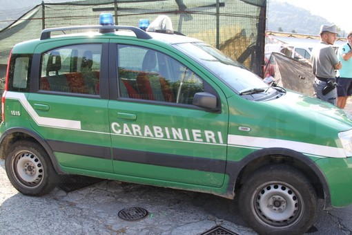 Ventimiglia: pulizia del Roya eseguita in maniera non corretta, i Carabinieri Forestali multeranno la ditta