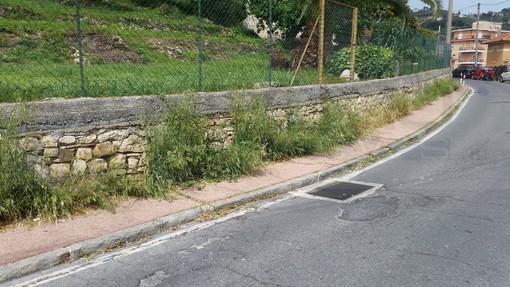 Sanremo: lettore di strada Borgo Tinasso ringrazia Amaie Energia per il lavoro di sfalcio Sanremo: lettore di strada Borgo Tinasso ringrazia Amaie Energia per il lavoro di sfalcio