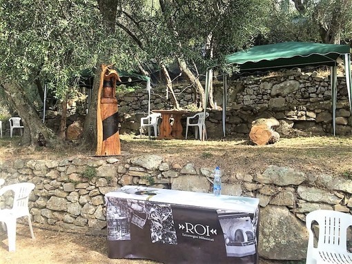 Badalucco: organizzato da Rossella e Franco Boeri 'Roi' è iniziato il Simposio di scultura nel legno d'ulivo