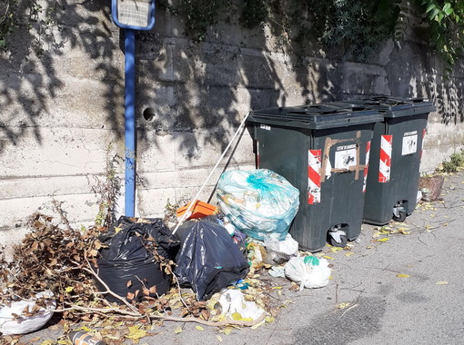 "A Sanremo in via Martiri e via Pietro Agosti cumuli di spazzatura sui quali sguazzano gabbiani e colombi"