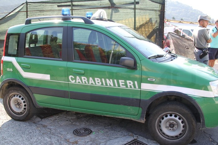 Ventimiglia: pulizia del Roya eseguita in maniera non corretta, i Carabinieri Forestali multeranno la ditta Ventimiglia: pulizia del Roya eseguita in maniera non corretta, i Carabinieri Forestali multeranno la ditta