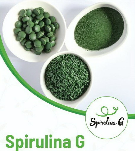 Spirulina G premiata con “Le Label” 2026: Dolceacqua eccellenza ligure sotto i riflettori internazionali Spirulina G premiata con “Le Label” 2026: Dolceacqua eccellenza ligure sotto i riflettori internazionali