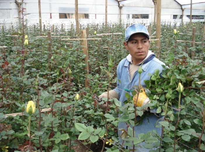 Il 4 aprile, 2° seminario delle 'Serate con l’Università a Sanremo 2010-2011'