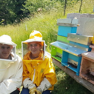 Vino e miele: ecco i prodotti di questa stagione degli allievi della Scuola Forestale di Ormea