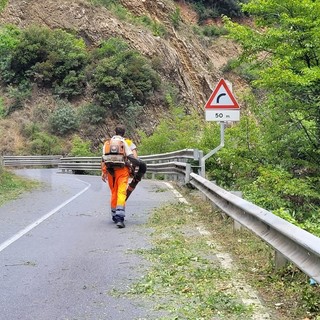 Sanremo aderisce al protocollo con la Provincia per sfalcio e manutenzione delle strade provinciali: contributo da 13.270 euro