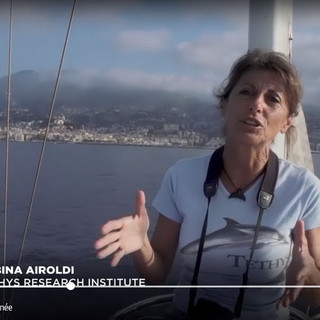 Il Santuario dei Cetacei del Mar Ligure in uno splendido documentario della rete franco-tedesca 'Arte' (Foto e Video) Il Santuario dei Cetacei del Mar Ligure in uno splendido documentario della rete franco-tedesca 'Arte' (Foto e Video)