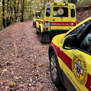 Ceriana, fungaiolo di 67 anni disperso nei boschi: il figlio dà l'allarme, in corso le ricerche
