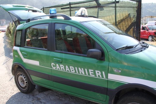 Roghi a Sanremo e Imperia: i Carabinieri Forestali denunciano 5 persone per incendio colposo