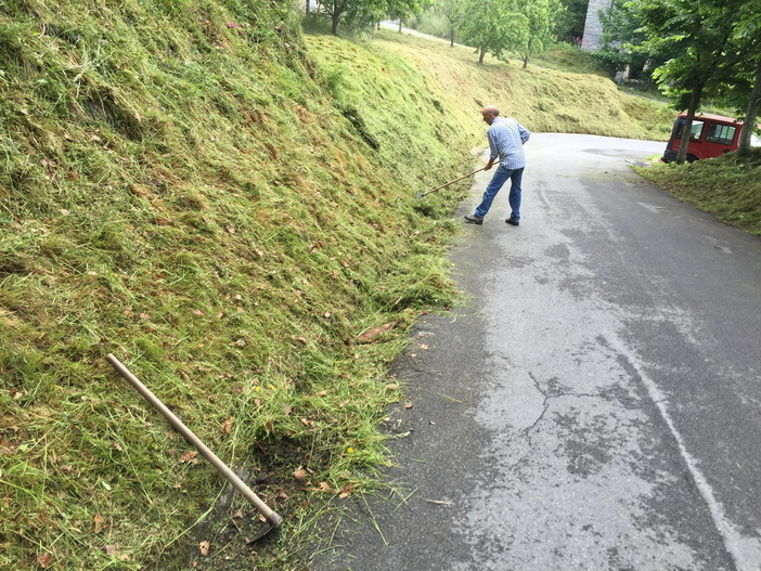 Bajardo diventa provincia? No, ovviamente, ma per lo sfalcio delle strade si è 'sostituita' all'ente Bajardo diventa provincia? No, ovviamente, ma per lo sfalcio delle strade si è 'sostituita' all'ente