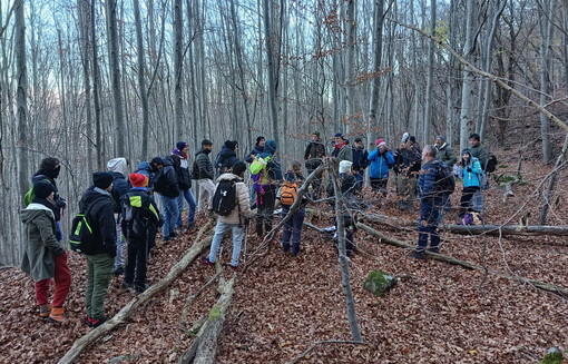 Scuola Forestale Ormea: a lezione nella splendida faggeta di Monte Ceppo, attività nell’ambito del progetto Evoforest