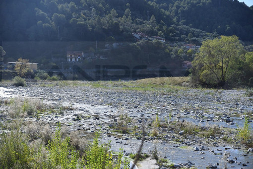 Siccità in Liguria, 170 segnalazioni di danni alle colture: al via le verifiche per la calamità naturale