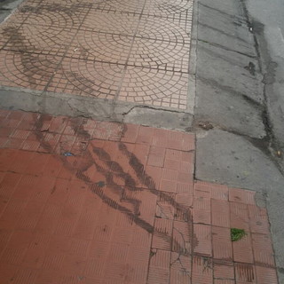 Ventimiglia: dopo il sopralluogo del Sindaco interviene Nazzari "Secondo me la città è sporca"