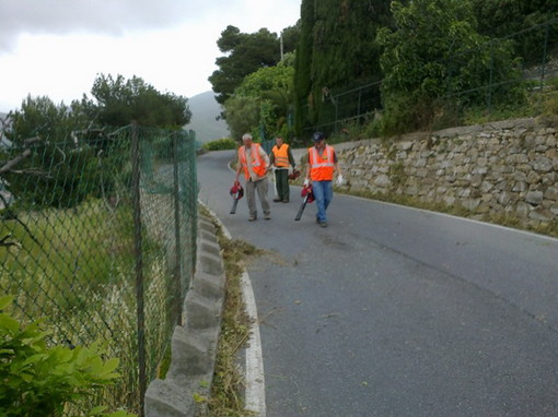 Ospedaletti: la locale Protezione Civile è intervenuta per pulire le erbacce sulla Provinciale per l'Autostrada