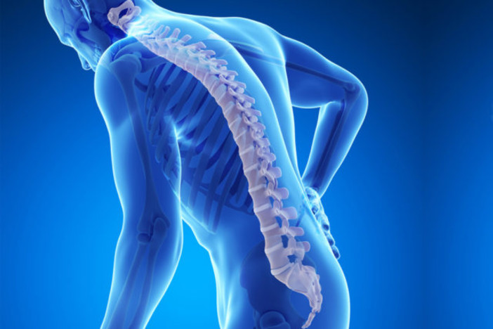 Stop all'osteoporosi: domani da SanremoBio il test di densitometria ossea con la consulenza del Centro Medicina Naturale Stop all'osteoporosi: domani da SanremoBio il test di densitometria ossea con la consulenza del Centro Medicina Naturale
