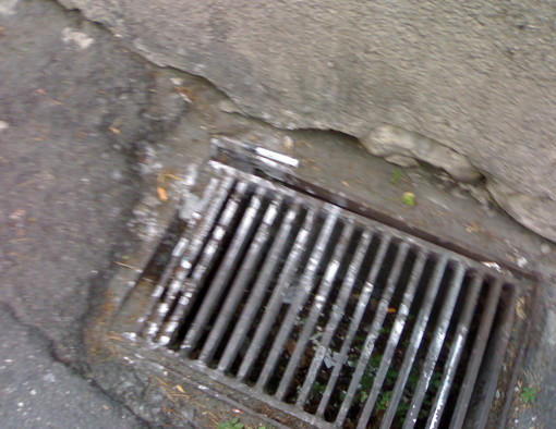 Sanremo: oltre 43 Kg di siringhe usate raccolte nel 2011 dalla 'Riviera Servizi Ecologici' Sanremo: oltre 43 Kg di siringhe usate raccolte nel 2011 dalla 'Riviera Servizi Ecologici'