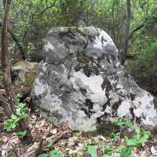 Nella zona del Monte Caggio nuova scoperta archeologica del gruppo di ricerche 'Archeonervia'