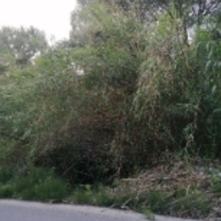 La denuncia del Sinappe "La strada vicino al carcere di Valle Arme è a forte rischio" (Foto)