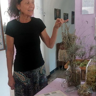 Sophie Lucet Sophie Lucet