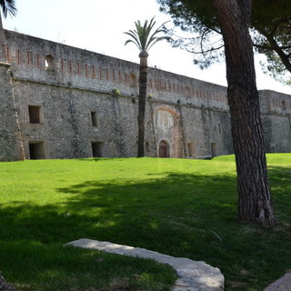 Sanremo: tre pini marittimi ormai irrecuperabili saranno abbattuti tra Santa Tecla e Pian di Nave