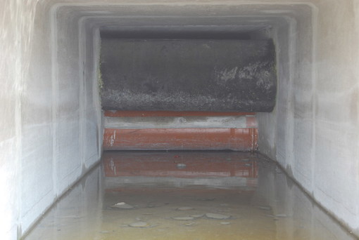 Bordighera: le preoccupazione dell'ex Consigliere Comunale Donatella Albano