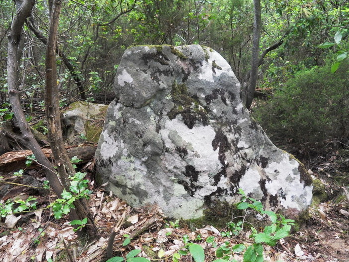 Nella zona del Monte Caggio nuova scoperta archeologica del gruppo di ricerche 'Archeonervia' Nella zona del Monte Caggio nuova scoperta archeologica del gruppo di ricerche 'Archeonervia'