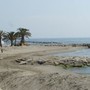 Ricorso di EARTH al Tar contro il divieto di accesso dei cani alle spiagge: il Comune di Santo Stefano si costituisce Ricorso di EARTH al Tar contro il divieto di accesso dei cani alle spiagge: il Comune di Santo Stefano si costituisce