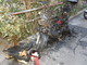 Taggia: scooter a fuoco stanotte in regione Santa Lucia Taggia: scooter a fuoco stanotte in regione Santa Lucia