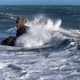 Imperia: impianto di itticoltura alla Galeazza, Livia Carli "Serve fare alcune considerazioni per il bene della città"