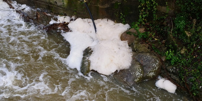 Sanremo: dopo le piogge di ieri sul torrente San Romolo appare una strana schiuma (Foto e Video) Sanremo: dopo le piogge di ieri sul torrente San Romolo appare una strana schiuma (Foto e Video)