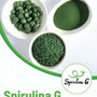 Spirulina G premiata con “Le Label” 2026: Dolceacqua eccellenza ligure sotto i riflettori internazionali Spirulina G premiata con “Le Label” 2026: Dolceacqua eccellenza ligure sotto i riflettori internazionali