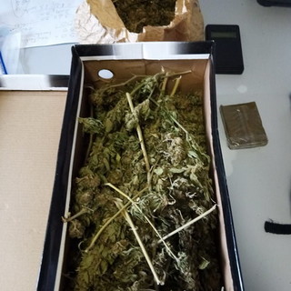Pontedassio: contrasto allo spaccio di droga, gli agenti della Volante di Imperia arrestano un 31enne