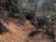 Bike park tra Monte Nero e Monte Bignone: oggi sopralluogo del Sindaco di Bordighera sui sentieri (Foto) Bike park tra Monte Nero e Monte Bignone: oggi sopralluogo del Sindaco di Bordighera sui sentieri (Foto)