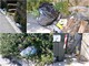 La spazzatura abbandonata per strada (Foto Tonino Bonomo)