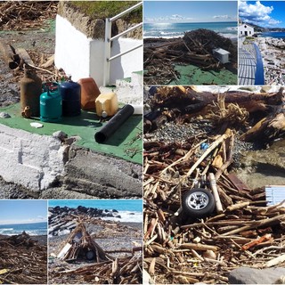 Le immagini dal lungomare di Bordighera Le immagini dal lungomare di Bordighera