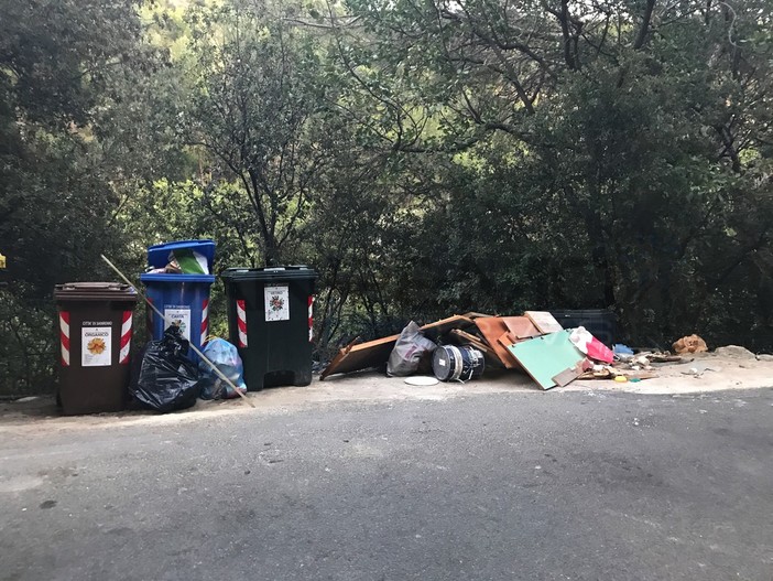 La spazzatura abbandonata vicino ai bidoni