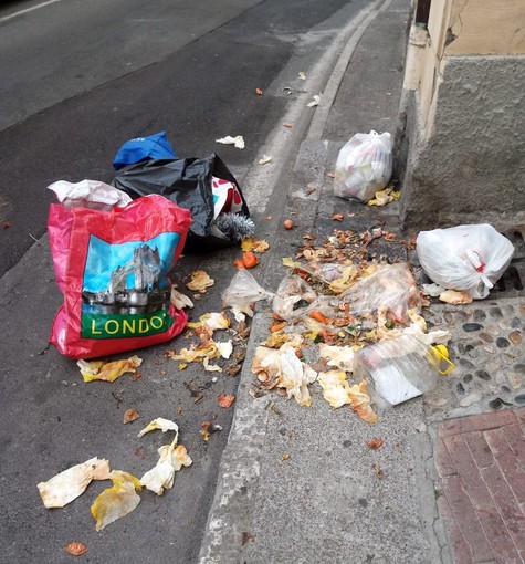 La sporcizia tra via Costiglioli e corso Inglesi La sporcizia tra via Costiglioli e corso Inglesi