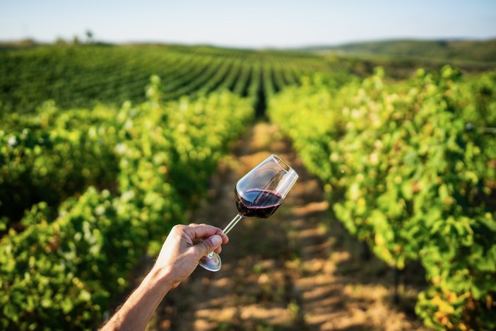 Evoluzione e cambi nel consumo: il vino diventa sempre di più una "scelta consapevole" Evoluzione e cambi nel consumo: il vino diventa sempre di più una "scelta consapevole"