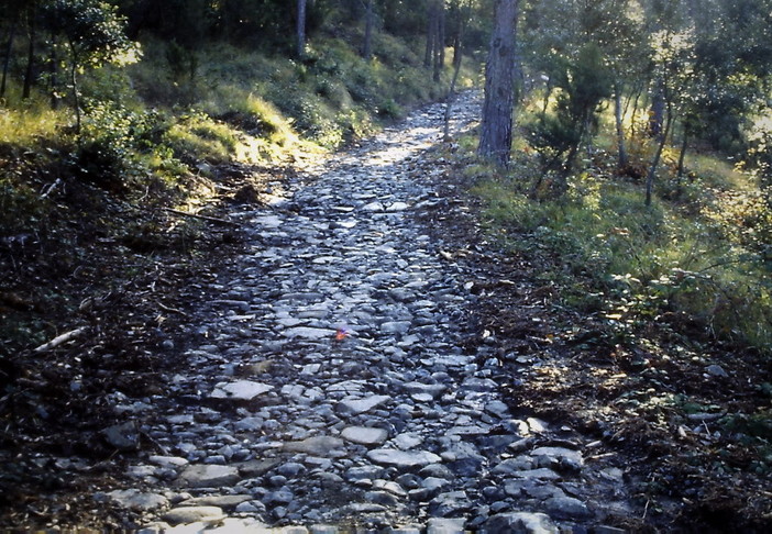 Antica via domenicana, riqualificato il sentiero Perinaldo-Monte Caggio: l'inaugurazione sarà il 18 maggio Antica via domenicana, riqualificato il sentiero Perinaldo-Monte Caggio: l'inaugurazione sarà il 18 maggio