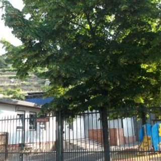 Sanremo: dopo la Primaria di via Volta chiusa anche una sezione della scuola dell'infanzia di Borgo Tinasso Sanremo: dopo la Primaria di via Volta chiusa anche una sezione della scuola dell'infanzia di Borgo Tinasso