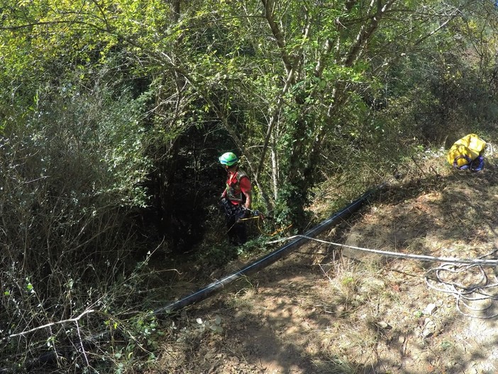 Tragedia di Apricale: Sinistra Italiana "E' urgente porre regole precise per la caccia" Tragedia di Apricale: Sinistra Italiana "E' urgente porre regole precise per la caccia"
