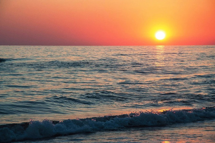 Neanche la pandemia ha fermato la ricerca di siti di incontri di escort e trans Neanche la pandemia ha fermato la ricerca di siti di incontri di escort e trans