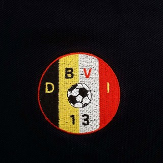 Calcio, Serie A. I ragazzi del Don Bosco Vallecrosia Intemelia saranno alla sfilata Academy per: Torino-Udinese