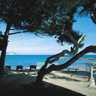 S. Lorenzo: domani in scena Lucia Poli in 'Edipo e la Pizia'