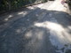 Sanremo: stato di degrado in strada Borgo Opaco, la segnalazione di un residente