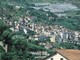 San Biagio della Cima: albero crolla sulla provinciale 59
