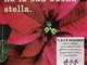 Nel weekend anche nel ponente ligure le 'Stelle di Natale' per la ricerca sulla leucemia Nel weekend anche nel ponente ligure le 'Stelle di Natale' per la ricerca sulla leucemia